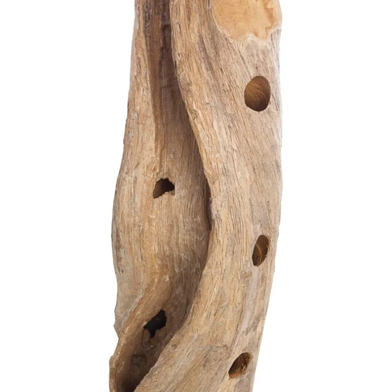 Botellero raíz de teca