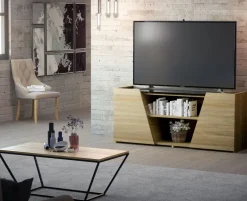 Mesa TV Art