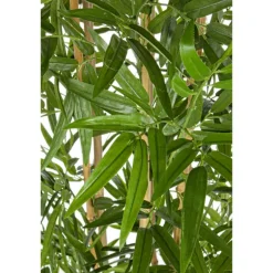 Planta Bambú grande