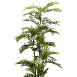 Árbol Palmera Eco