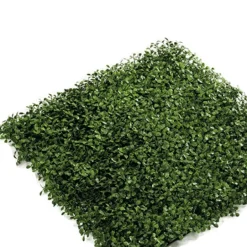 Jardín Vertical Boj