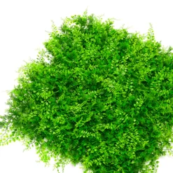 Jardín Vertical Helecho Mixto