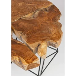 mesa de centro raíz y acero