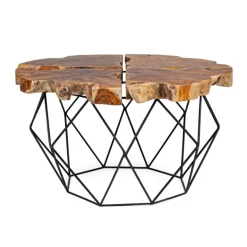 mesa de centro raíz y acero