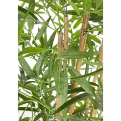 Planta Bambú grande