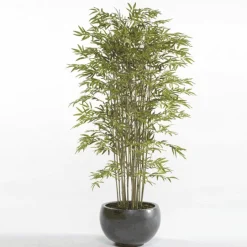 Árbol Bambú Deluxe