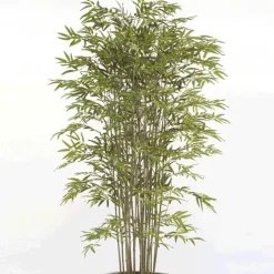 Árbol Bambú Deluxe