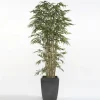 Árbol Bambú Premium