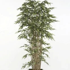 Árbol Bambú Premium