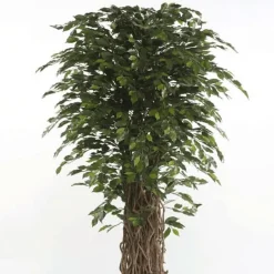 Árbol Ficus Deluxe