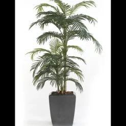 Árbol Palmera Premium