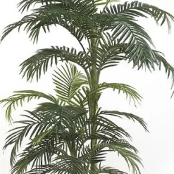 Árbol Palmera Premium